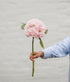 Soft Pink Faux Hydrangea Stem
